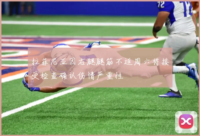 拉菲尼亚因右腿腿筋不适周六将接受检查确认伤情严重性