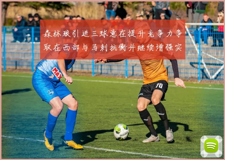 森林狼引进三球意在提升竞争力争取在西部与马刺抗衡并继续增强实力